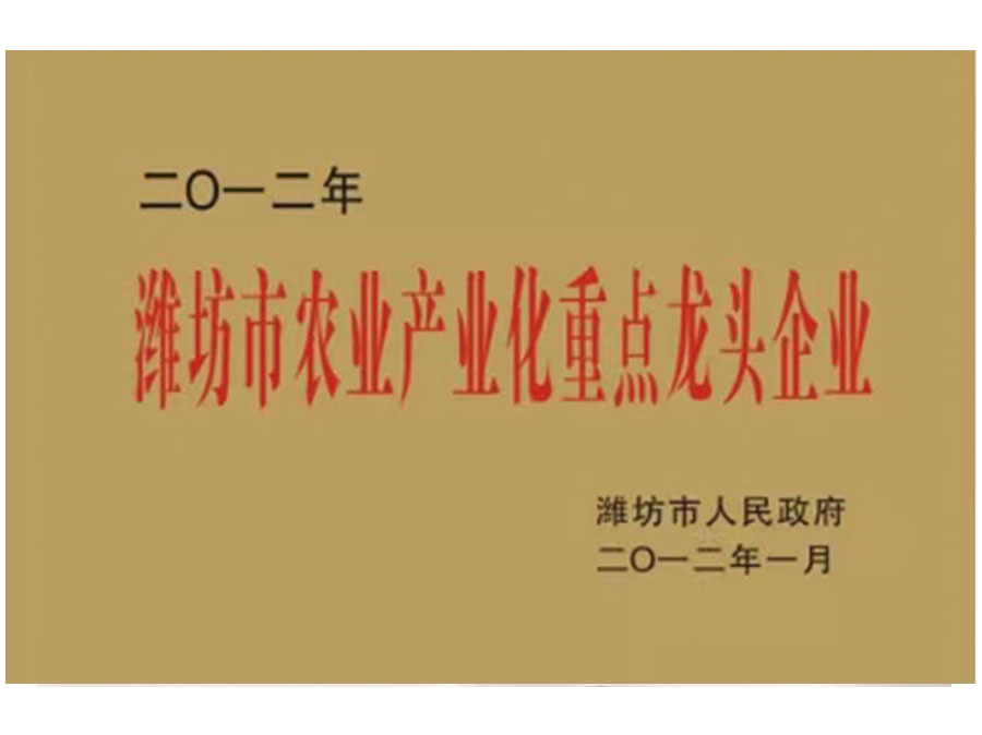 濰坊市農業(yè)產業(yè)化童點龍頭企業(yè)